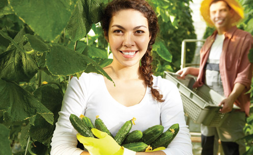 Food & Nutrition
