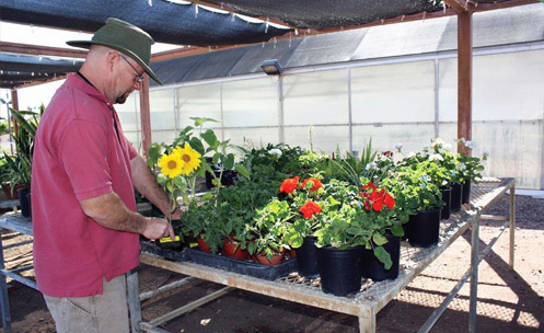 Urban Horticulture & Agribusiness