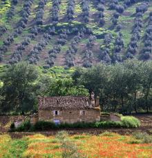 Granada, Spain