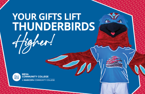 Impact Report - Front Cover - Your Gifts Lift Thunderbirds Higher!
