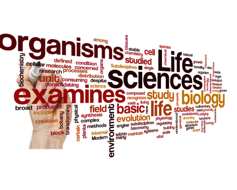 life sciences biology concept background