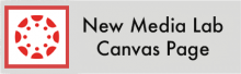 Click here to check out the District NMLE Canvas Page