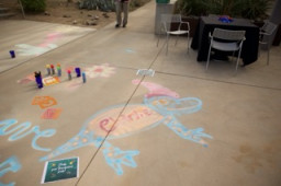 Chalk drawing of a critter