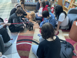 De-stress with doggos