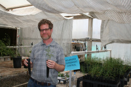 Faculty member Peter Brown holding milkweed
