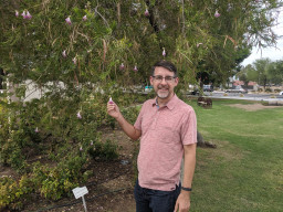 Sean Whitcomb standing in front of a tree