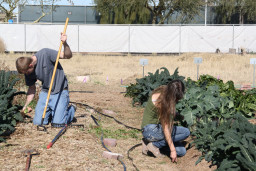 Two students gardening in the Urban Agriculture Program