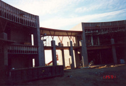 Red Mountain Construction: Mesquite & Desert Willow.