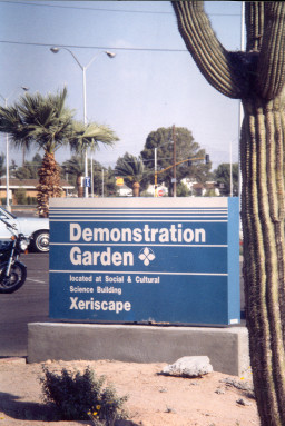 The Xeriscape Demonstration Garden at the Southern & Dobson Campus