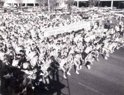The start of the 3rd annual Veteran's Day Marathon