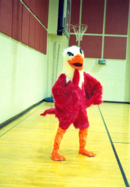 The Thunderbird mascot