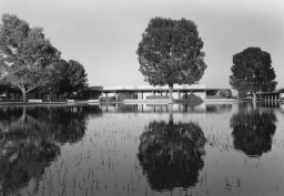 Irrigation, Southern & Dobson Campus