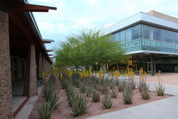 Physical Science Building at SD Campus