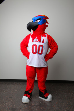 Thor the Thunderbird