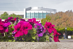 Paul A. Elsner Library