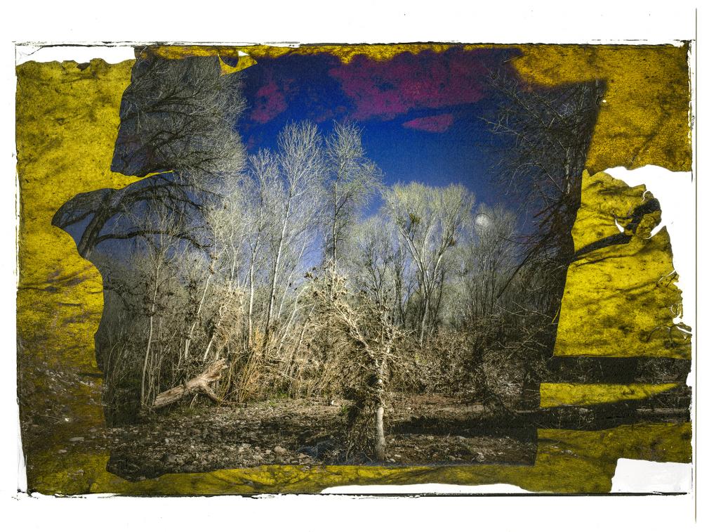 A multiple exposure of a tree-lined landscape. 