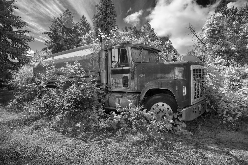 Black and white photograph of a truck surrounded by overgrown blackberry bushes.
