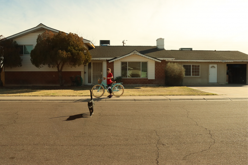 Photograph of a house on a street with a person on a bike and a black cat.