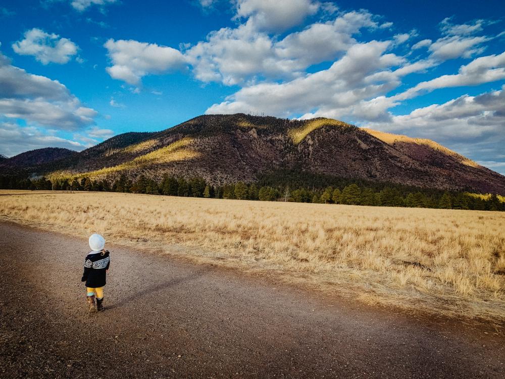 Photograph of a small child walking around Buffalo park in Flagstaff, Arizona.