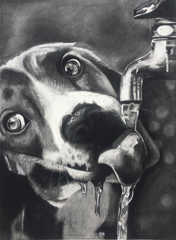 Drawing of a dog getting a drink from a hose.