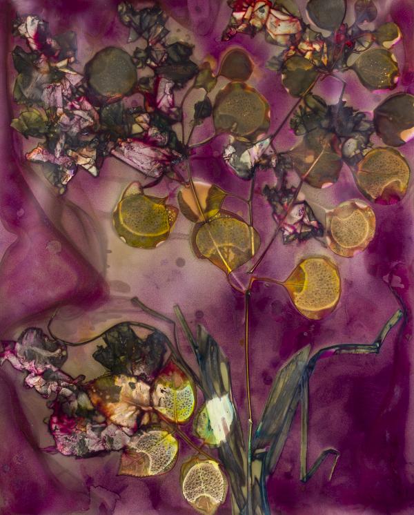 Lumen printed photograph, abstract yellow leaves on a purple background.