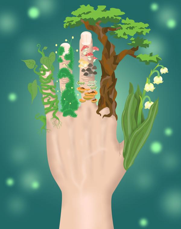 Digital illustration of a hand with different flora and fauna representing each finger.