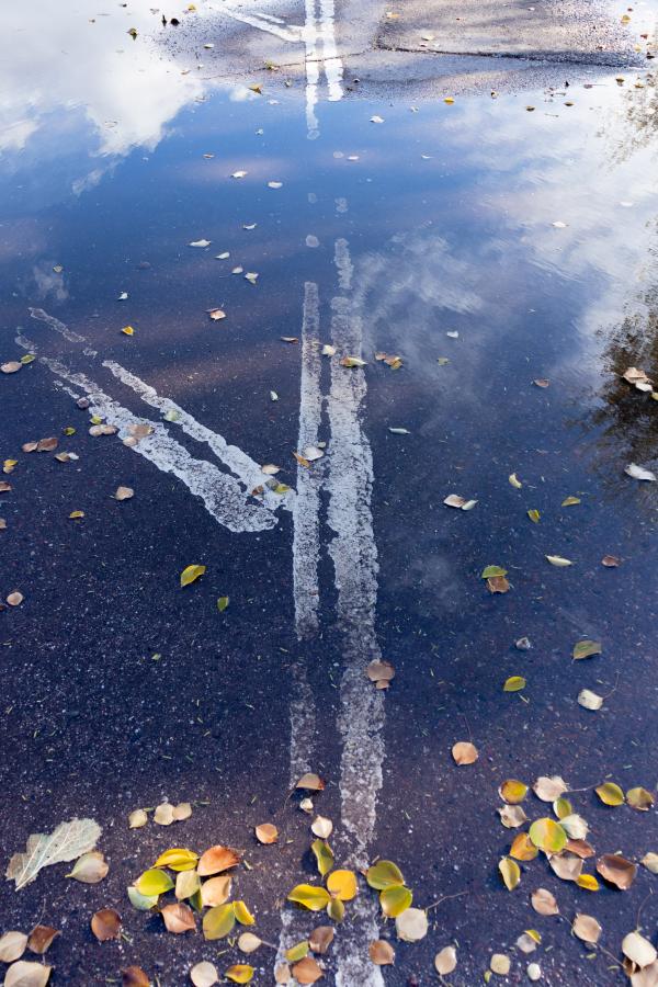 Photograph of a puddle on asphalt with a white boundary and leaves.