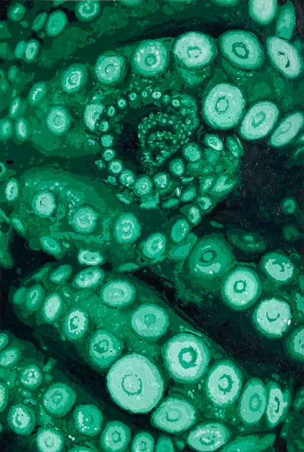 This image is a close-up of a cephalopod in tints and shades of green.