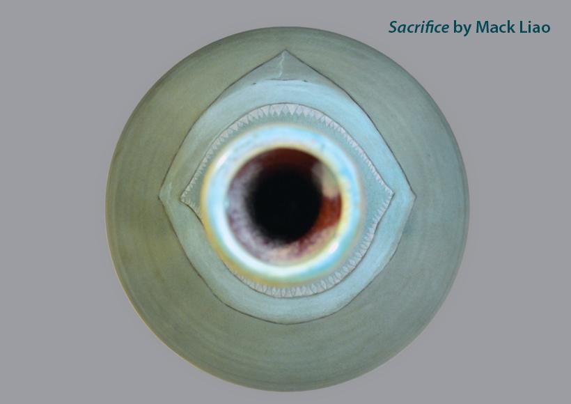 Sacrfice, ceramic work by Mack Liao
