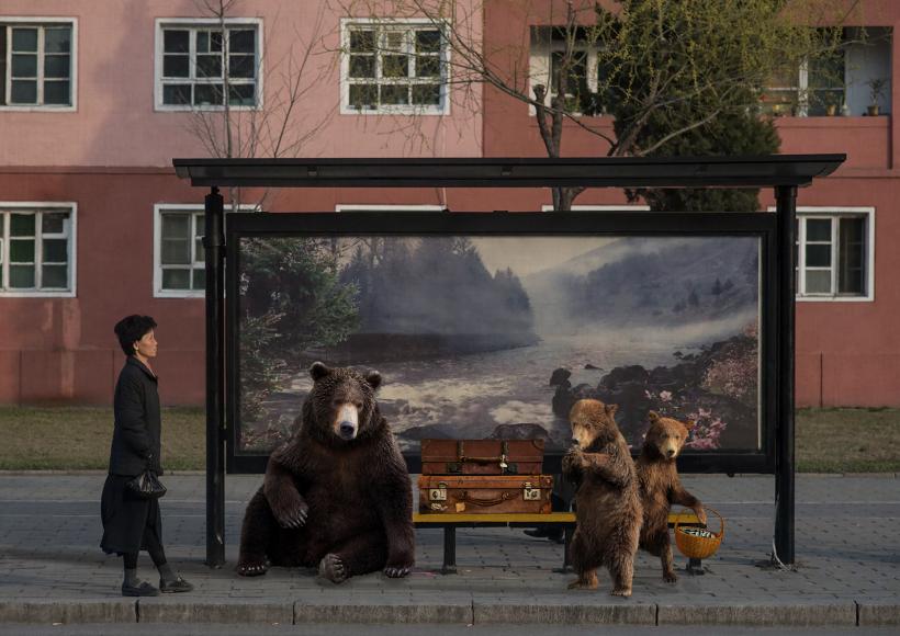 Bears Wanna Go Back by Basak Akdeniz-Cetegen