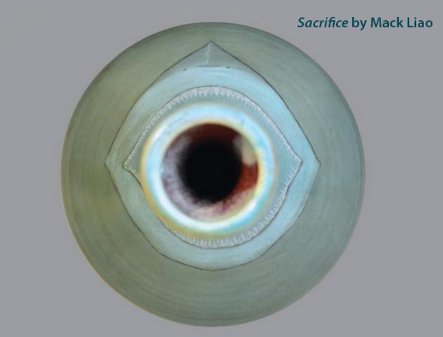 Sacrifice, ceramic work by Mack Liao