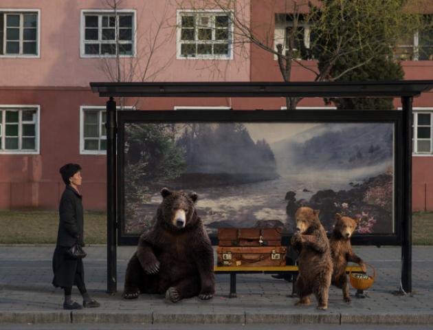 Bears Wanna Go Back by Basak Akdeniz-Cetegen