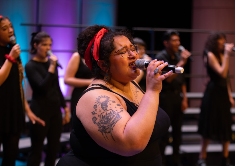 Singer at concert
