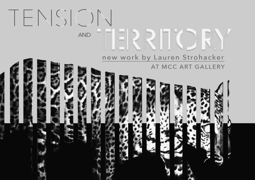 Tension and Territory - new work by Lauren Strohacker
