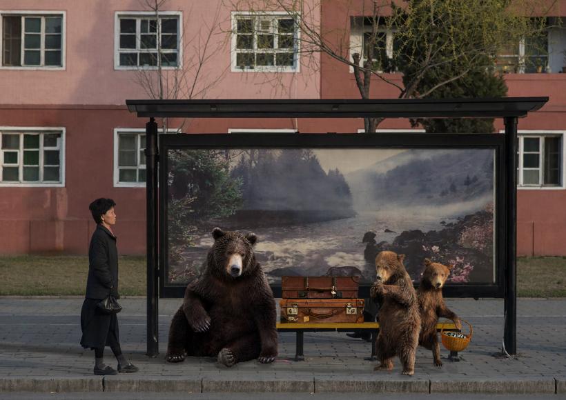 Bears Wanna Go Back by Basak Akdeniz-Cetegen