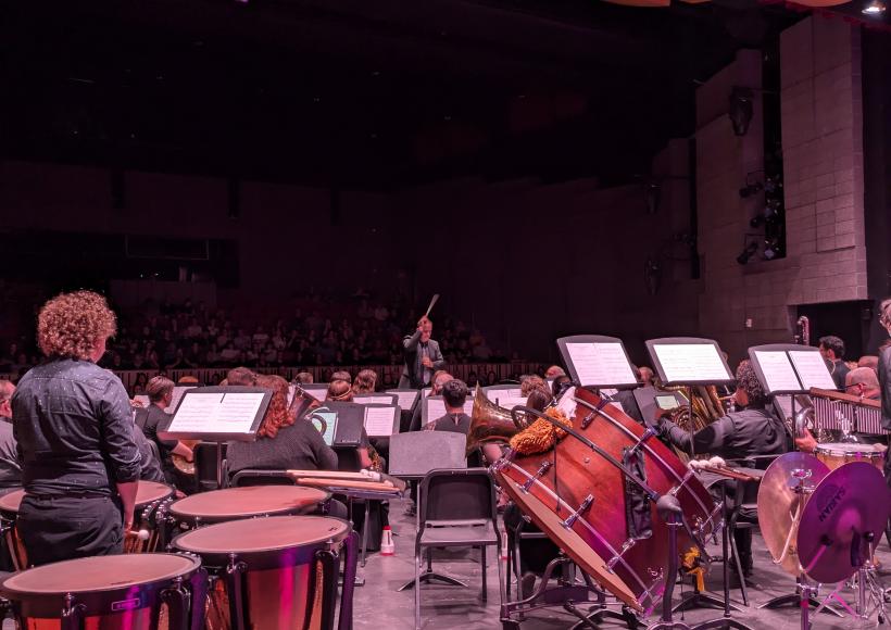 A band on stage from behind with conductor in front.