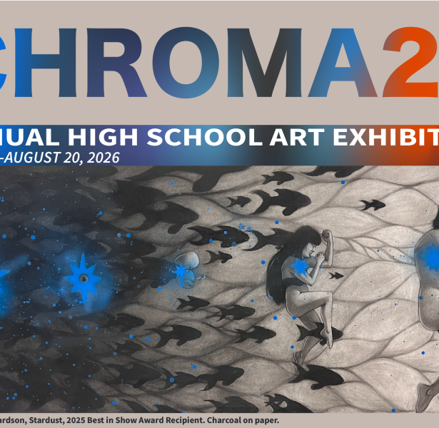 A photograph of an artwork titled Stardust by Laurance Richardson. The piece is created using charcoal on paper, giving it a soft, textured appearance with strong contrasts between light and dark tones. This artwork received the Best in Show Award in 2025, highlighting it as a standout piece in the exhibition.