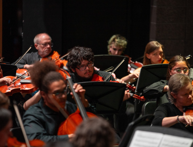 String performers at concert