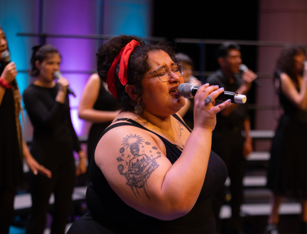 Singer at concert