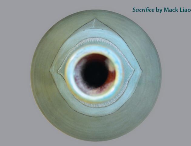 Sacrifice, ceramic work by Mack Liao