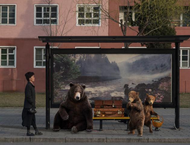 Bears Wanna Go Back by Basak Akdeniz-Cetegen