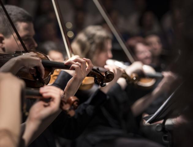 ASU Chamber Orchestra with MCC String Ensemble