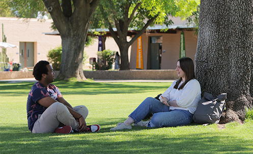 Behavioral Health Sciences