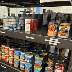 Food cans on two shelves.