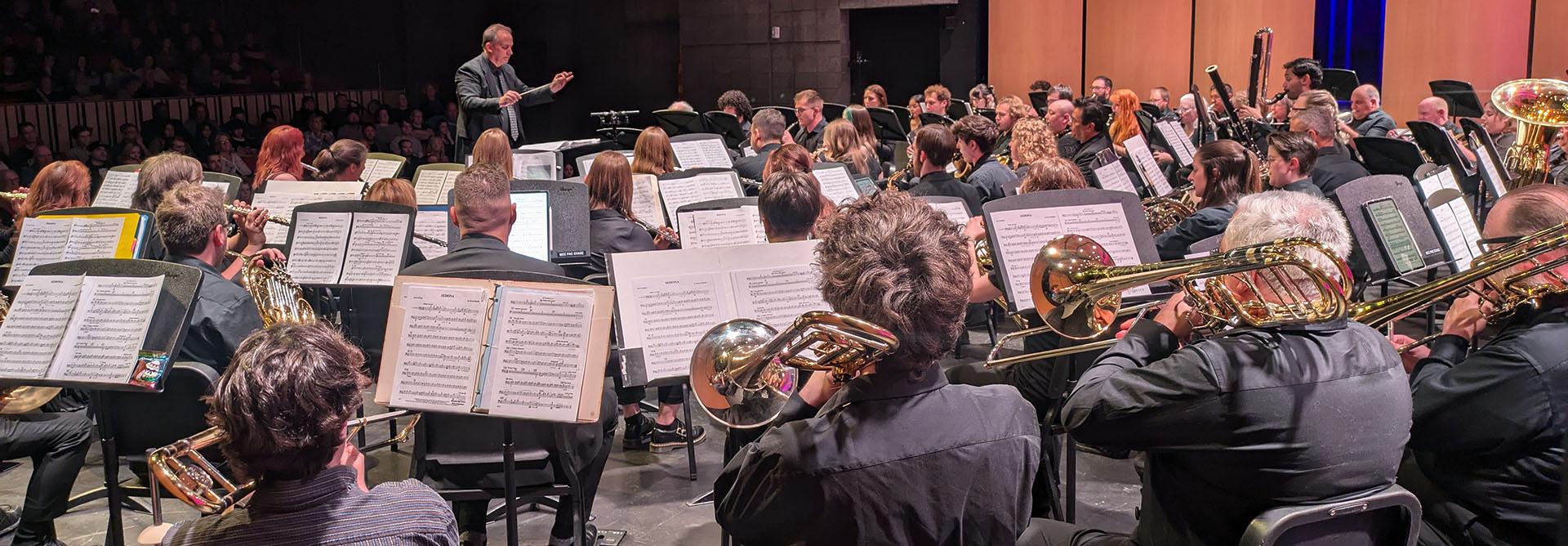 An orchestra from behind facing the conductor.