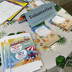 Brochures for the VolunteerFest event.