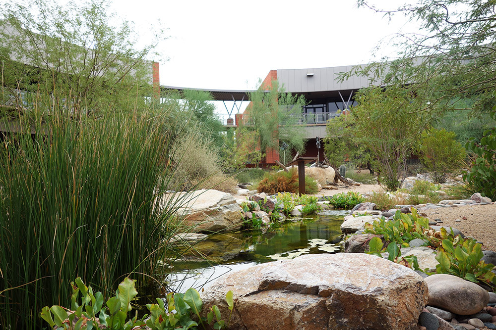 The Cienega.