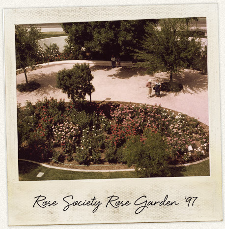 Mesa-East Valley Rose Society Rose Garden