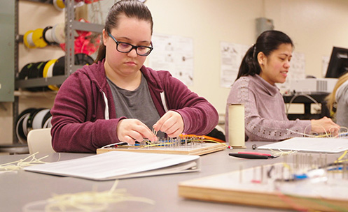 Wiring Harness Students