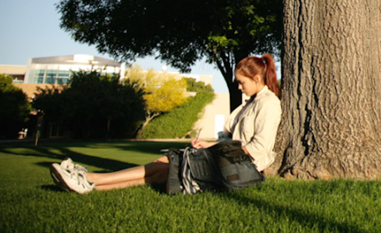 girl sitting beside tree with laptop computer